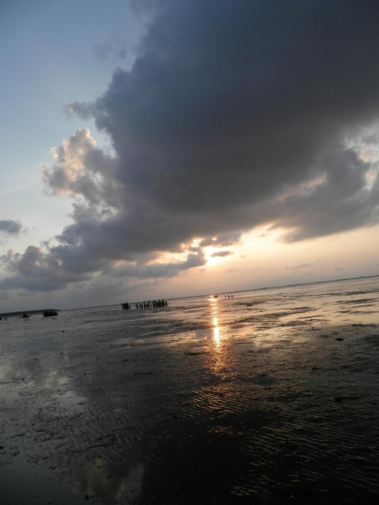4Pers House Christine W Sauna, Winter Garden & Fishing Pier Anjum ภายนอก รูปภาพ
